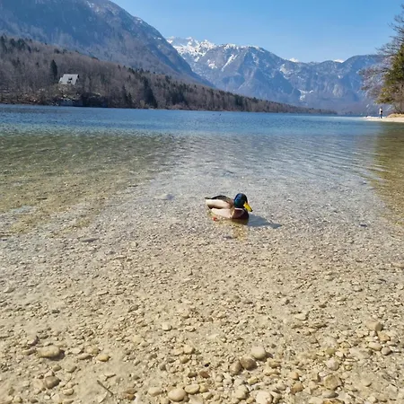 Art Kristal 4* Bohinj