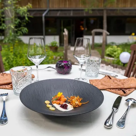 Art Kristal Отель Бохинь