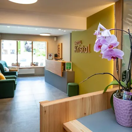 Отель Art Kristal