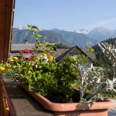 Art Kristal 4* Bohinj